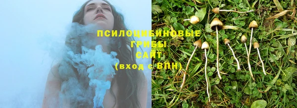 гашик Алексеевка