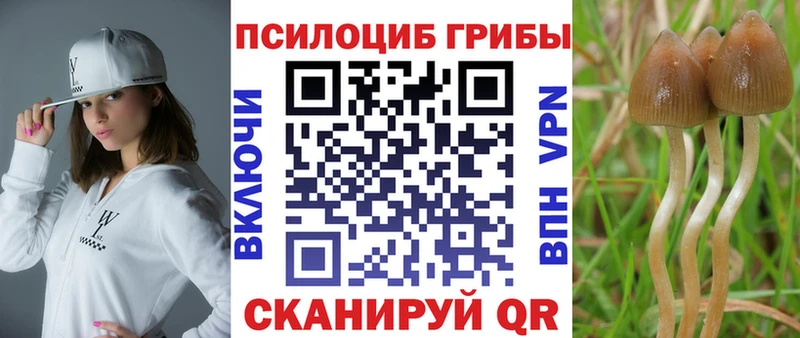 Галлюциногенные грибы MAGIC MUSHROOMS  KRAKEN как зайти  Новотроицк 