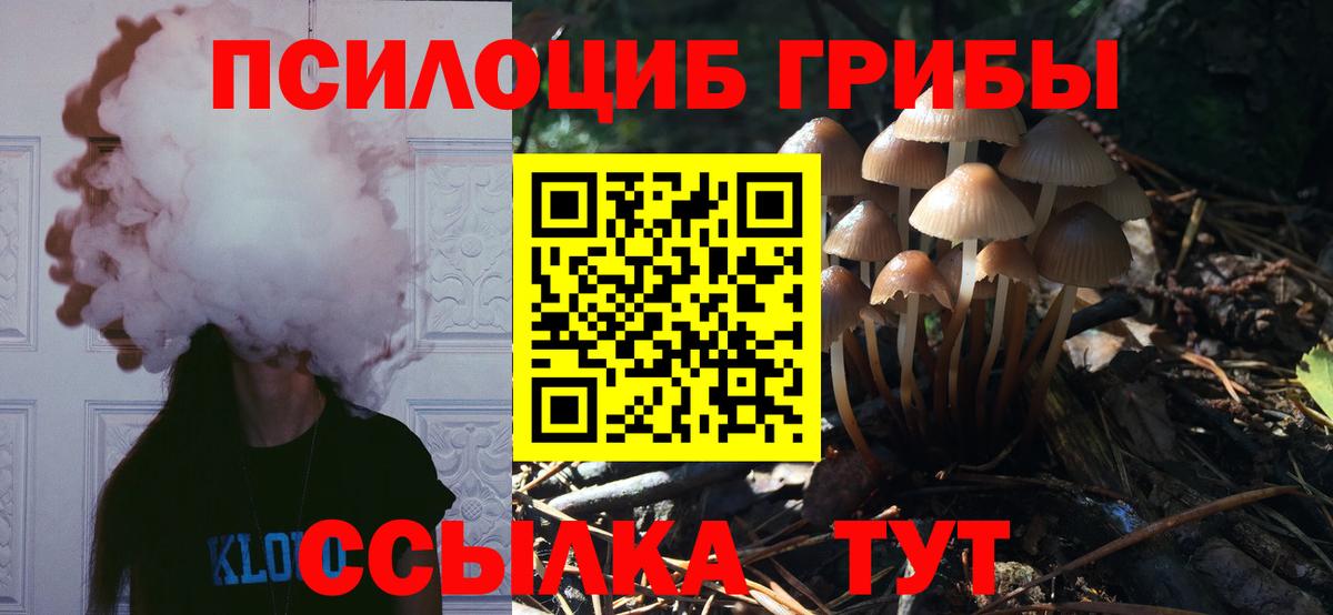 Псилоцибиновые грибы GOLDEN TEACHER Новотроицк