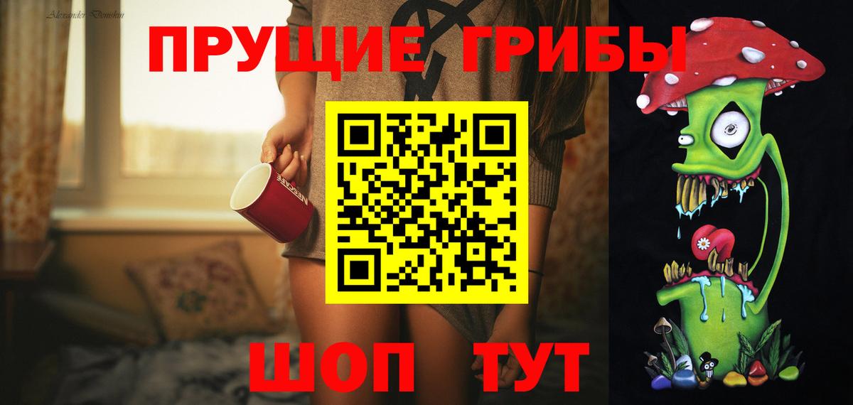 Новотроицк  Псилоцибиновые грибы Psilocybine cubensis  Вход с VPN 